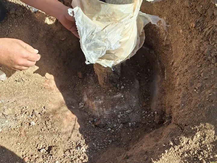 Excavación y preparación de fundaciones, trabajo realizado por ICM Constructora